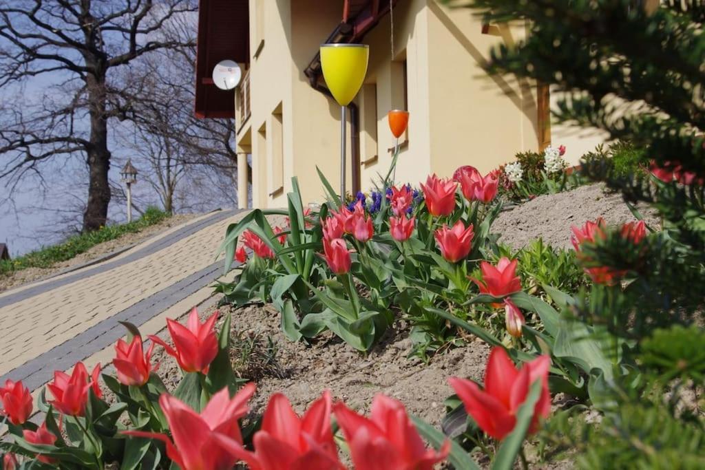 Apartament Zacisze ウストロン エクステリア 写真
